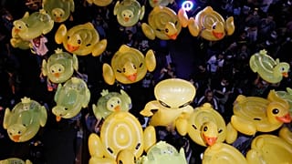 Os bonecos serviram de escudo e agora são símbolo de liberdade e resistência