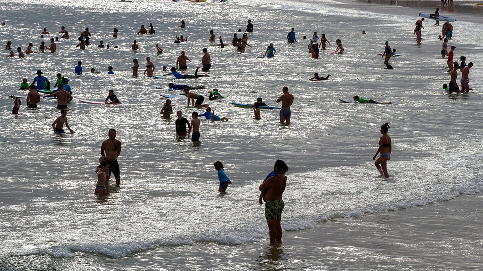 Bondy Beach - Am Strand in Sydney im November