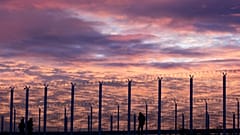 Migrants stand at a fence preventing them from reaching a highway beside the migrant camp known as the Jungle in Calais, northern France, Tuesday, Nov. 3, 2015