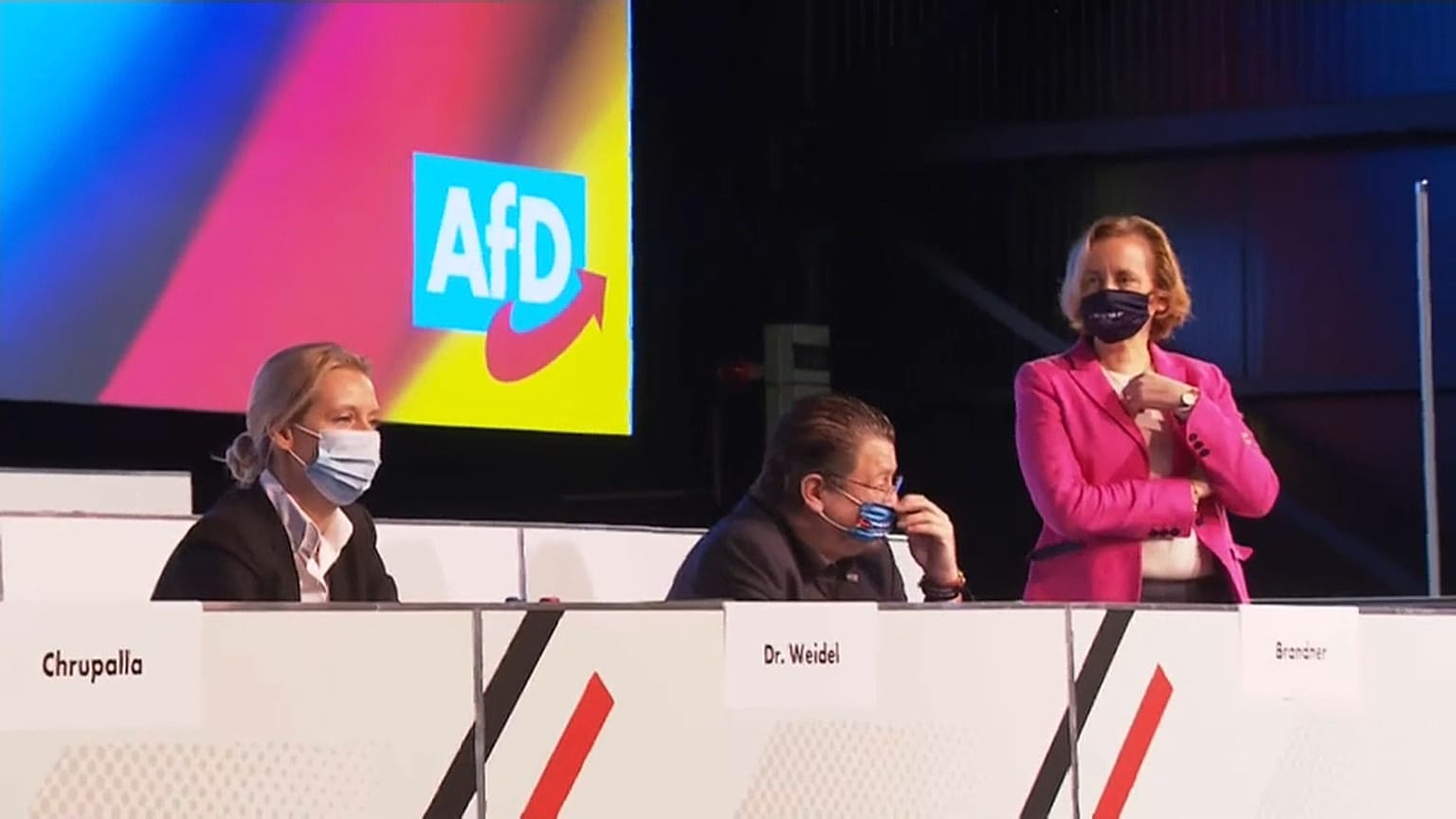 AfD-Bundesparteitag
