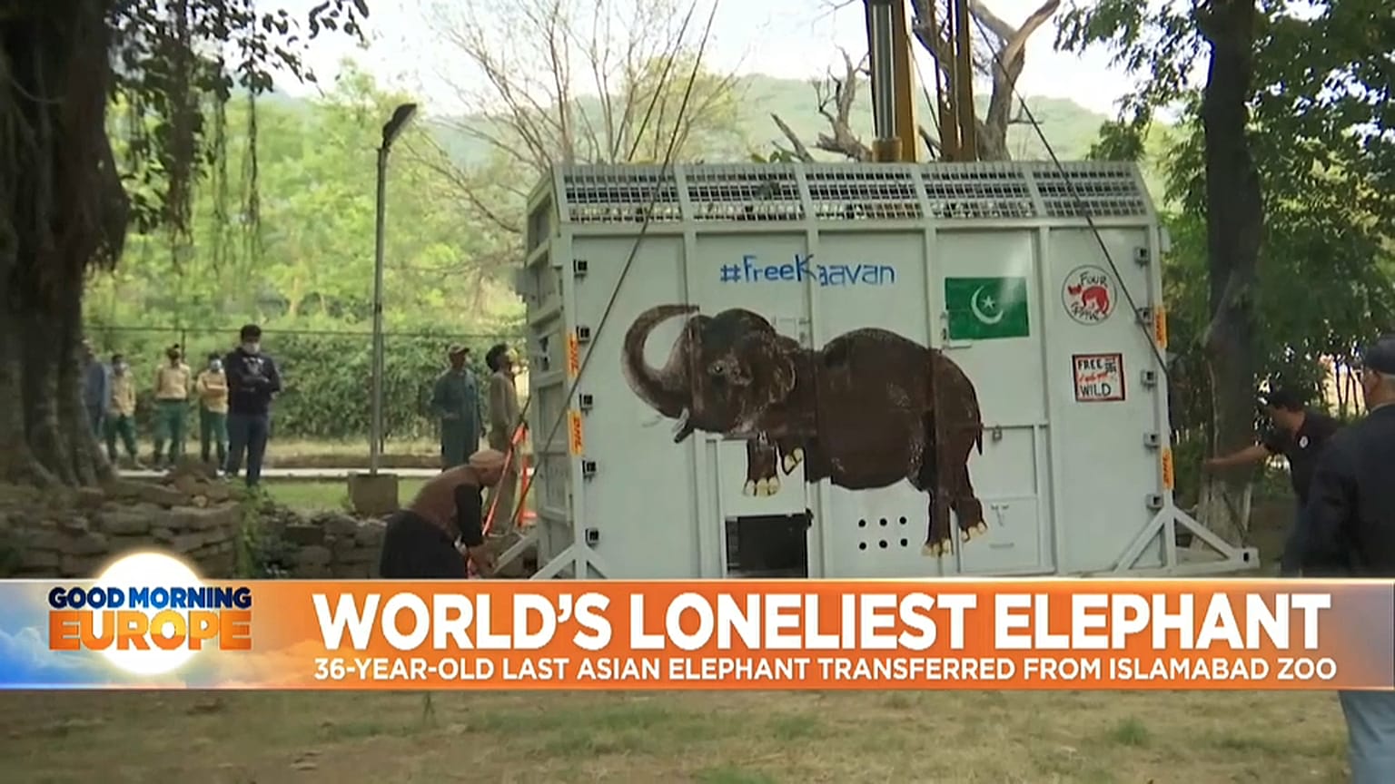 Kaavan, an Asian elephant is transferred from Islamabad Zoo