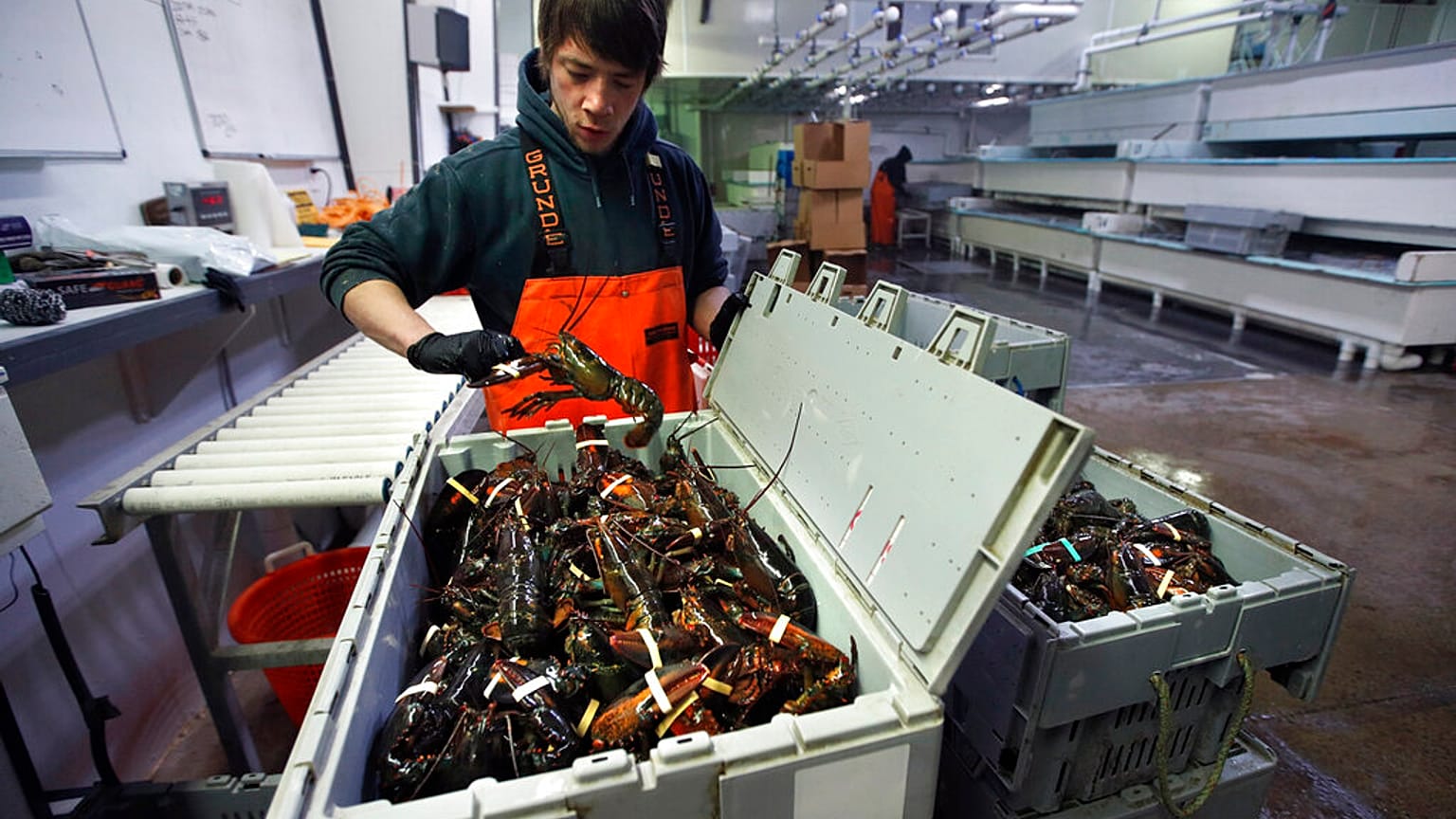 EU businesses look to US market with incoming Biden administration