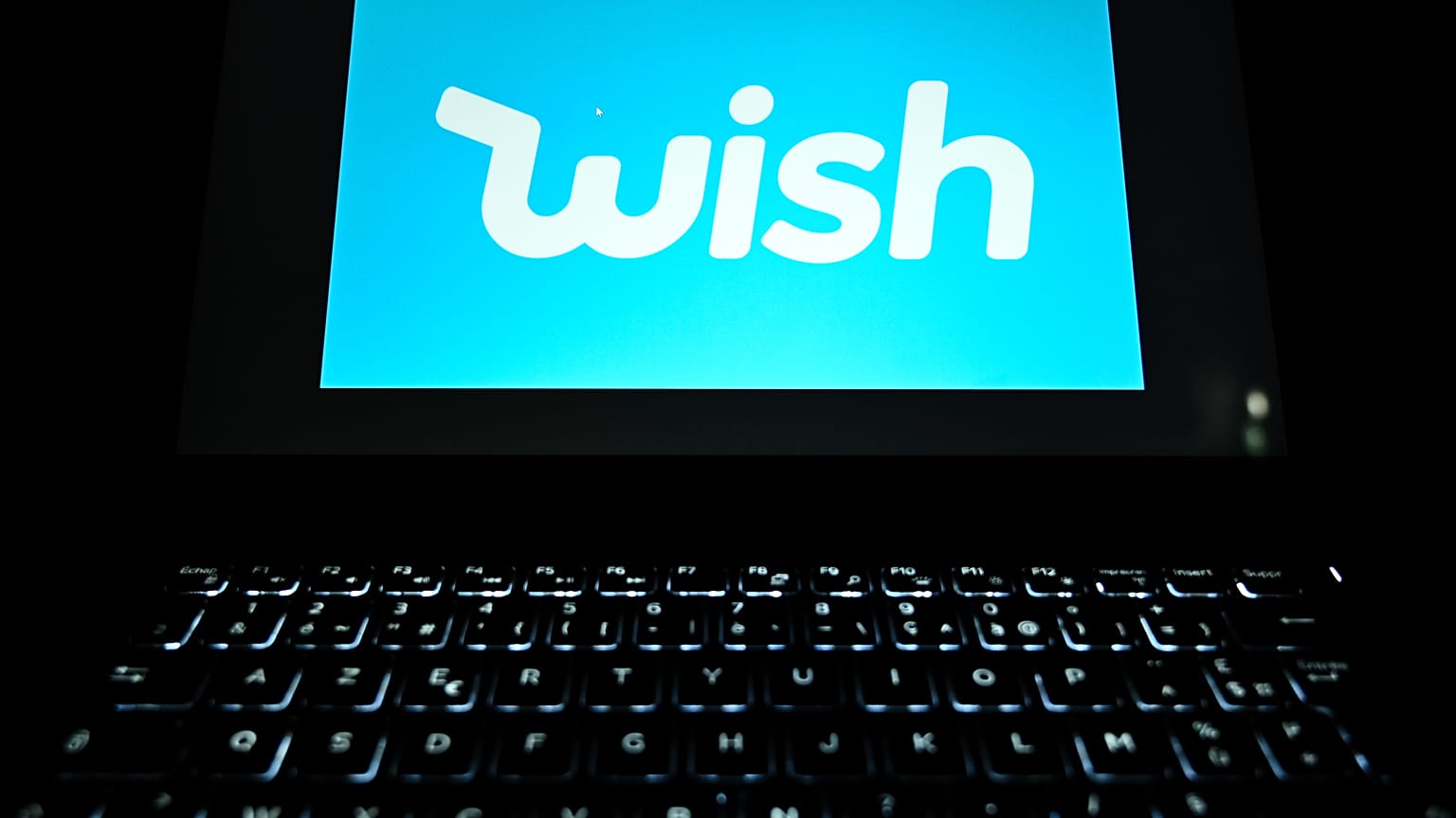 Wish alışveriş platformu 