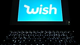 Wish alışveriş platformu 