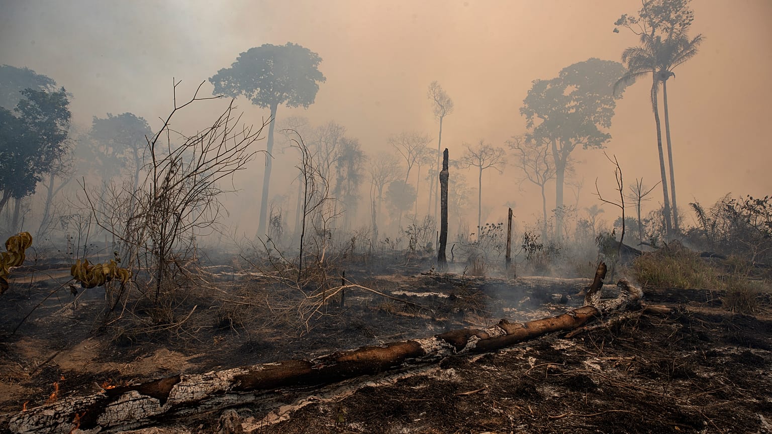 Devastación en Novo Progreso, en el estado de Pará, Brasil