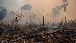 Devastación en Novo Progreso, en el estado de Pará, Brasil