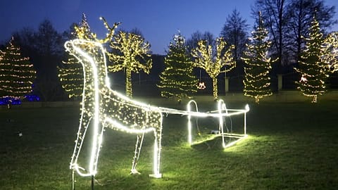 Weihnachtsdekoration in Washington, Moskau und dem kosovarischen Pjetërshan.