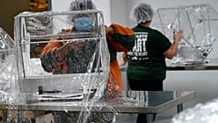 Именно на вакцинацию возлагаются основные надежды по обузданию эпидемии