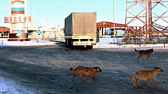 Трое неизвестных с оружием пытались прорваться в Россию с Украины