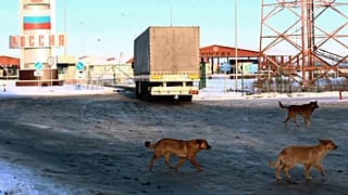 Трое неизвестных с оружием пытались прорваться в Россию с Украины