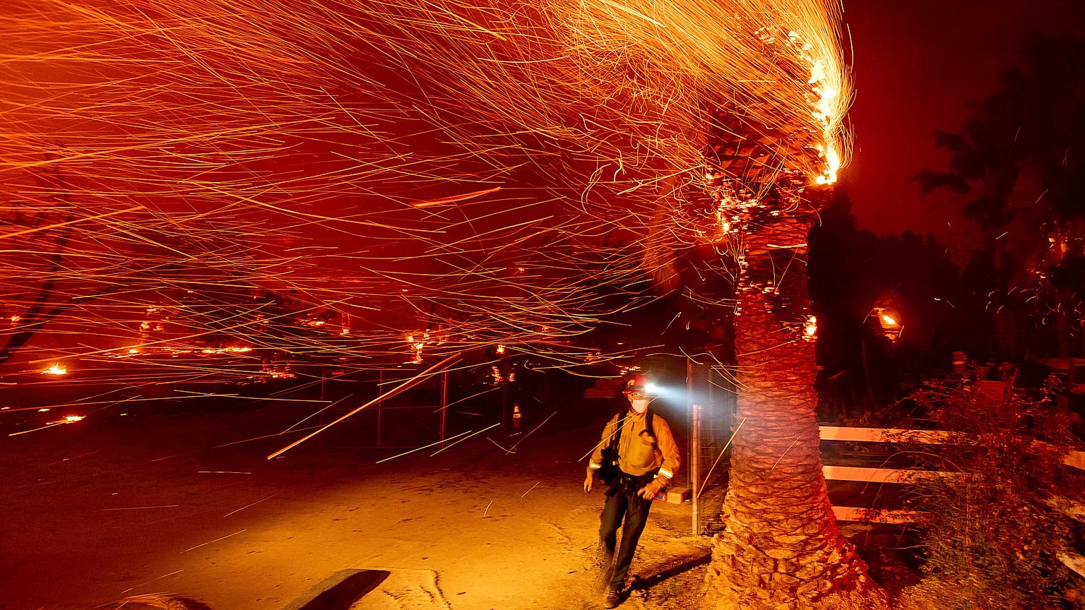 A firefighter runs past a burning tree while battling the Bond Fire in the Silverado community of Orange County, California, USA. December 3, 2020