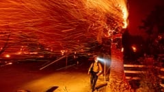 A firefighter runs past a burning tree while battling the Bond Fire in the Silverado community of Orange County, California, USA. December 3, 2020