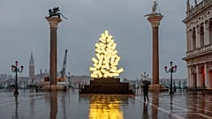 Weihnachtsbaum in Venedig