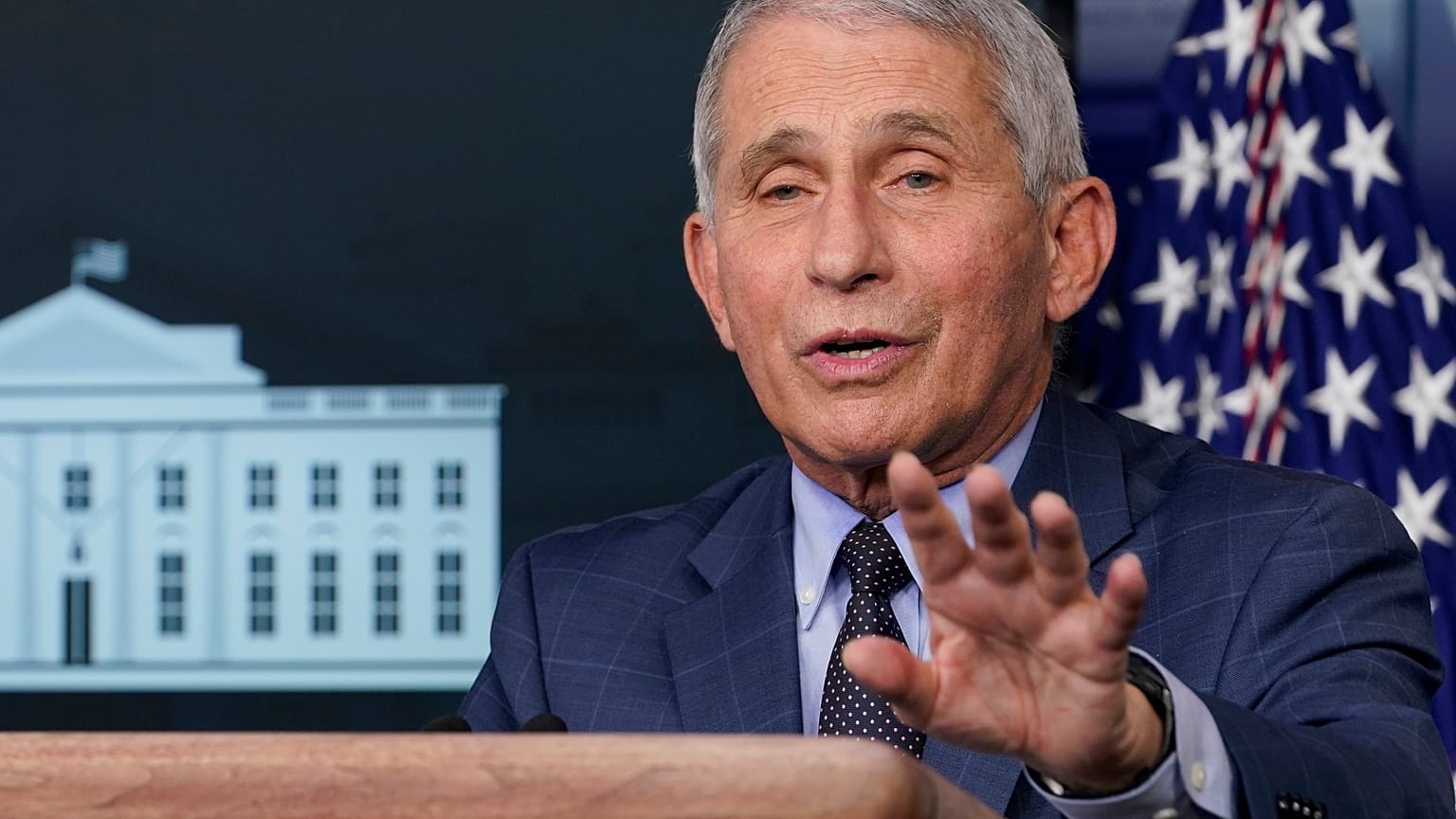 Dr. Anthony Fauci, director of the  US National Institute for Allergy and Infectious Diseases