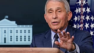 Dr. Anthony Fauci, director of the  US National Institute for Allergy and Infectious Diseases