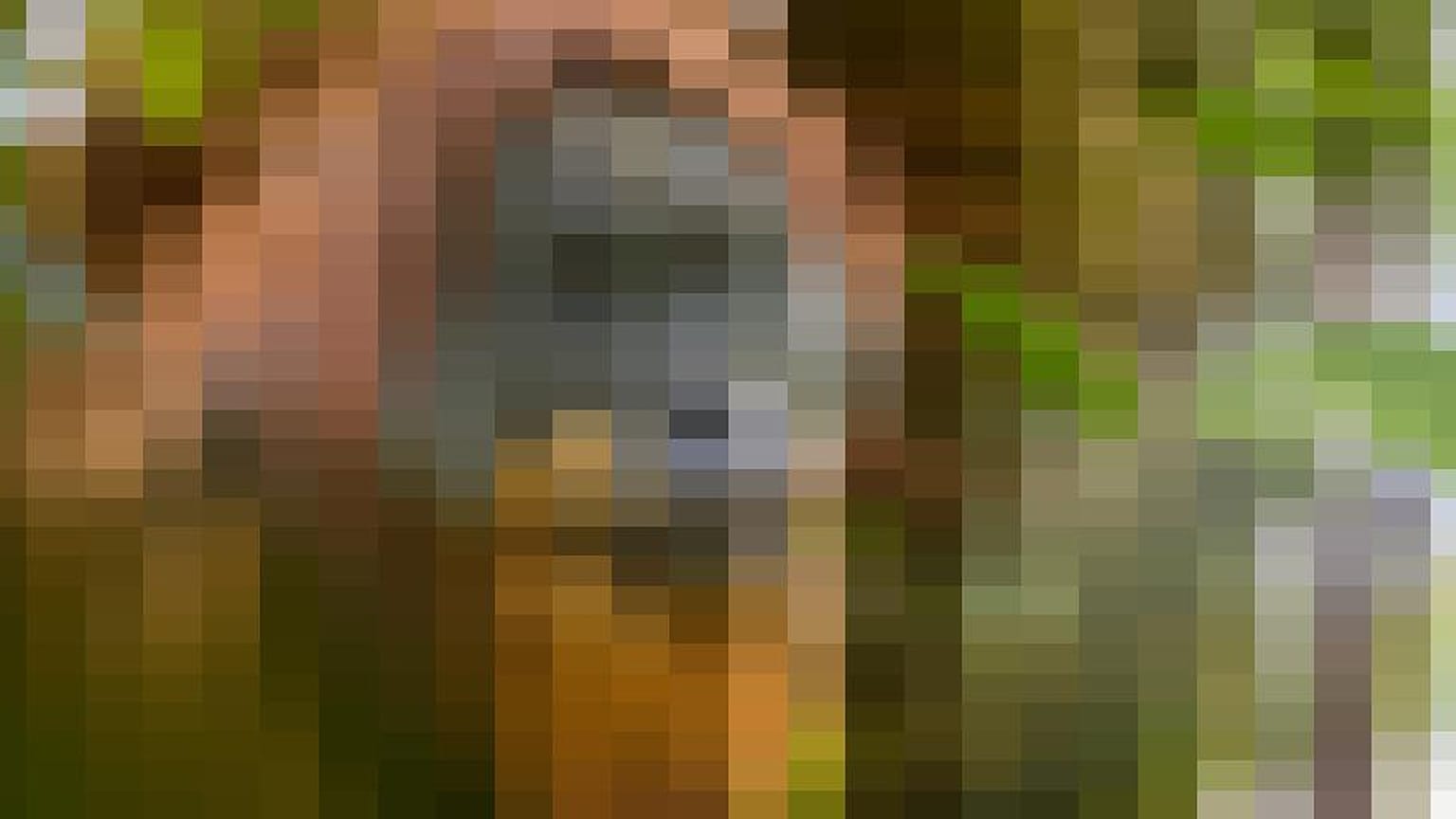 Can you identify the blurred animal in this image?
