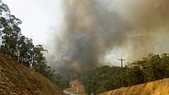 Australien: Buschfeuer zerstört größte Sandinsel der Welt "Fraser Island"