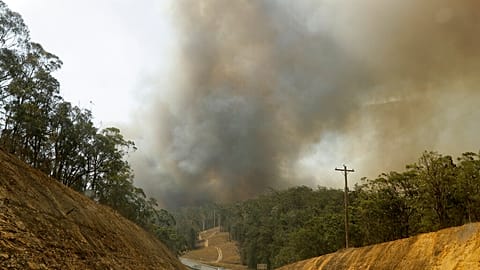 Australien: Buschfeuer zerstört größte Sandinsel der Welt "Fraser Island"