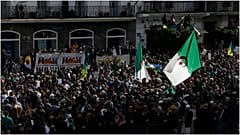 الحراك الجزائري