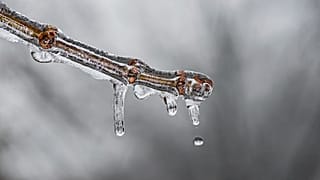 Fast überall auf der Welt war es im November 2020 wärmer als im Durchschnitt. -Symbolbild-