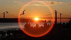 Sol de novembro pode ter "empurrado" 2020 para um recorde de calor