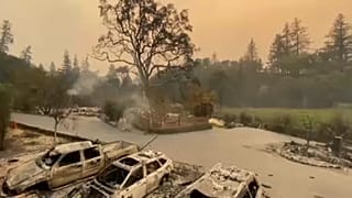 ARCHIVE: bush fires - also a result of the climate change