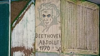 Beethoven auf dem Acker und "Show Fenster" in Berlin