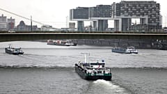 Niedrigwasser am Rhein in Köln