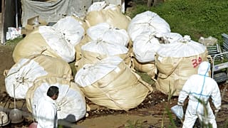 Japonya'da son birkaç ayda telef olan kümes hayvanı sayısı 2.5 milyona ulaştı.