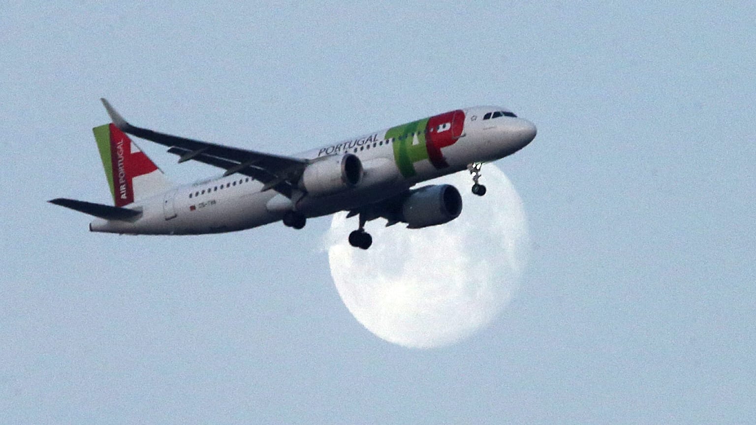 Futuro da Transportadora Aérea de Portugal voa sobre um "ninho" de críticas