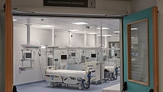 ΔΗΜΗΤΡΗΣ  ΠΑΠΑΜΗΤΣΟΣ