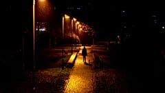 Una donna porta a spasso il suo cane in un parco a Francoforte, Germania
