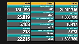 Türkiye Günlük Koronavirüs Tablosu