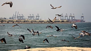 بندر جدّه