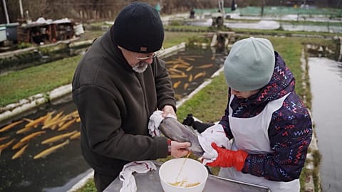European producers are making pollution-free aquaculture a successful business