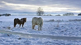 Архив