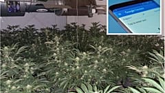 Police eventually discovered a cannabis farm in a village in North East England