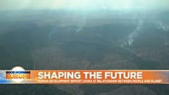 Amazon Rainforest burn