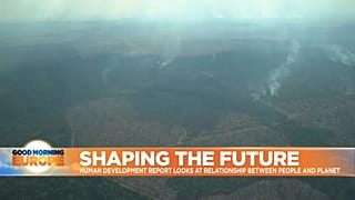 Amazon Rainforest burn
