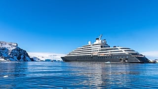 Cruise lines are beginning to blend luxury with authentic travel. Antarctic expedition, Scenic.