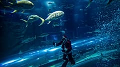 Papa Noel nada con los tiburones en Río de Janeiro