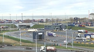 Zebrugges harbour prepares for n-deal Brexit