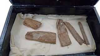 القطعة التي عثر عليها 
