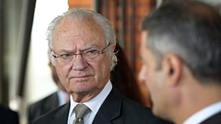 Schwedens König Carl XVI. Gustaf im Jahr 2019. 