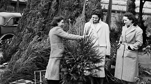 Women buy a Christmas tree in Paris, France. December 14, 1951