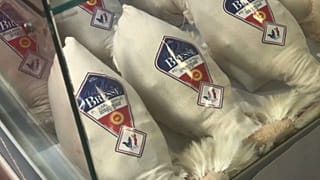 Бресские куры - гордость Франции