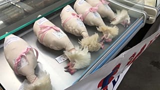 Bresse-Poularden in der Auslage