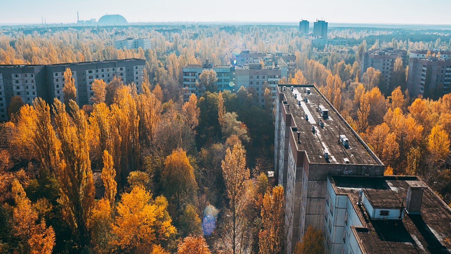 The disaster may have created Europe's largest nature reserve.