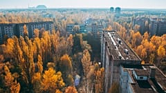 The disaster may have created Europe's largest nature reserve.