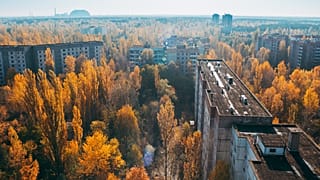 The disaster may have created Europe's largest nature reserve.
